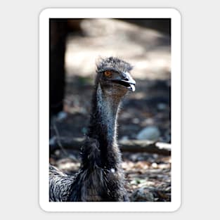 Emu Talking Sticker